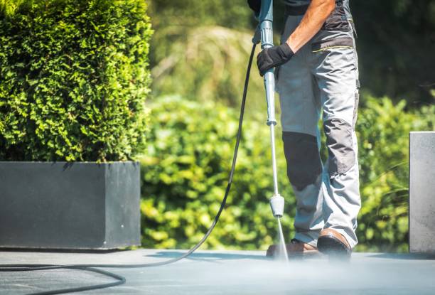 Best Fence Cleaning  in Iota, LA